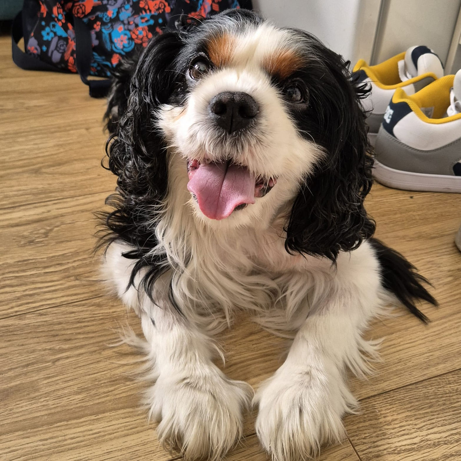 2024_2025 - Murphy - 9.jpg